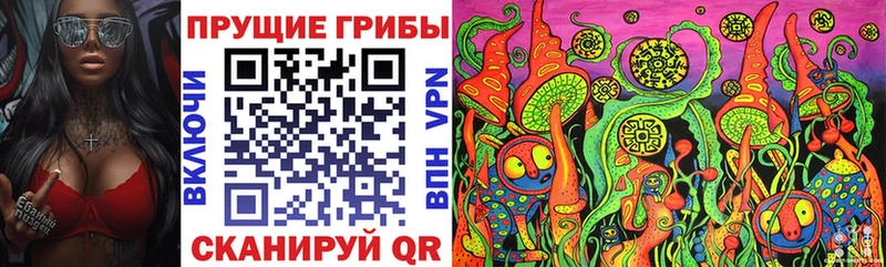 Галлюциногенные грибы Cubensis  где продают   Олонец 